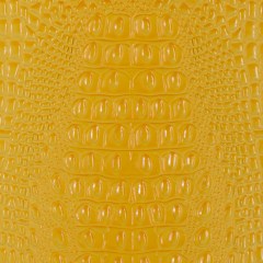 Yellow Crocodile Vinyl Yellow Crocodile Vinyl