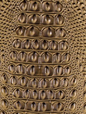 Gold Crocodile Vinyl Gold Crocodile Vinyl