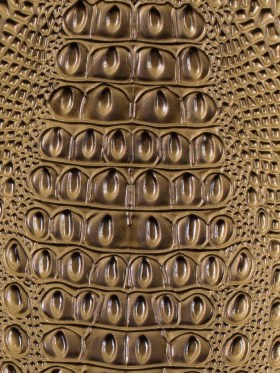 Gold Crocodile Vinyl Gold Crocodile Vinyl