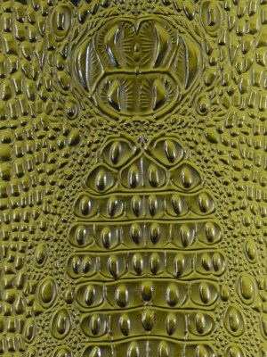 Green Crocodile Vinyl Green Crocodile Vinyl