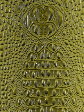 Green Crocodile Vinyl Green Crocodile Vinyl