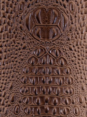 Chocolate Crocodile Vinyl Chocolate Crocodile Vinyl