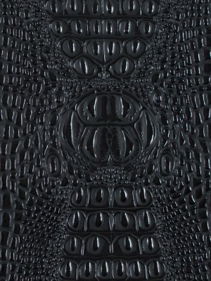Black Crocodile Vinyl Black Crocodile Vinyl