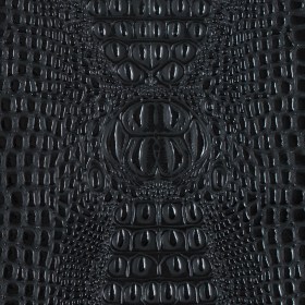 Black Crocodile Vinyl Black Crocodile Vinyl