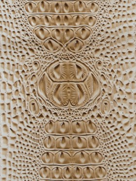 Whisper White Crocodile Vinyl Whisper White Crocodile Vinyl