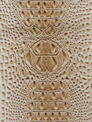 Whisper White Crocodile Vinyl Whisper White Crocodile Vinyl