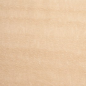 Beach Textured Polyester Brocade Beach Textured Polyester Brocade