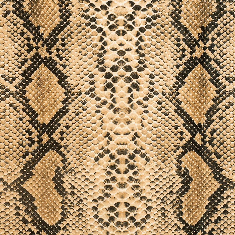 Anaconda Printed Micro-Polyester and Cotton Anaconda Printed Micro-Polyester and Cotton