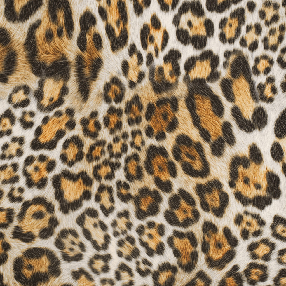 Jaguar Printed Micro-Polyester and Cotton Jaguar Printed Micro-Polyester and Cotton