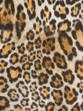Jaguar Printed Micro-Polyester and Cotton Jaguar Printed Micro-Polyester and Cotton