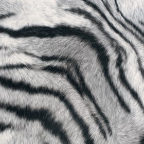 Black/White Zebra Printed Micro-Polyester and Cotton Black/White Zebra Printed Micro-Polyester and Cotton