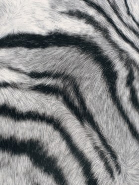 Black/White Zebra Printed Micro-Polyester and Cotton Black/White Zebra Printed Micro-Polyester and Cotton