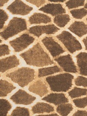 Giraffe Printed Micro-Polyester and Cotton Giraffe Printed Micro-Polyester and Cotton