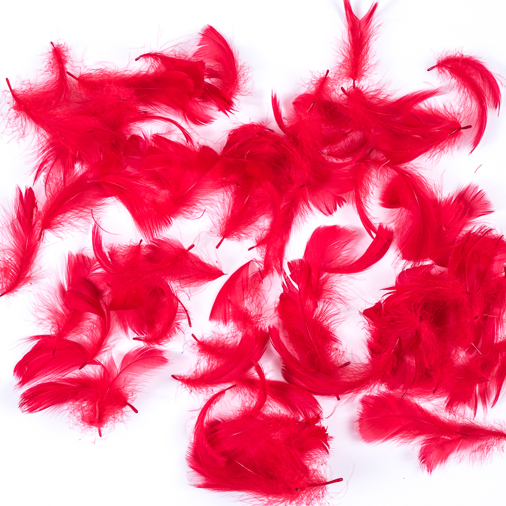 Red 5 Gram Bag of Feathers Red 5 Gram Bag of Feathers