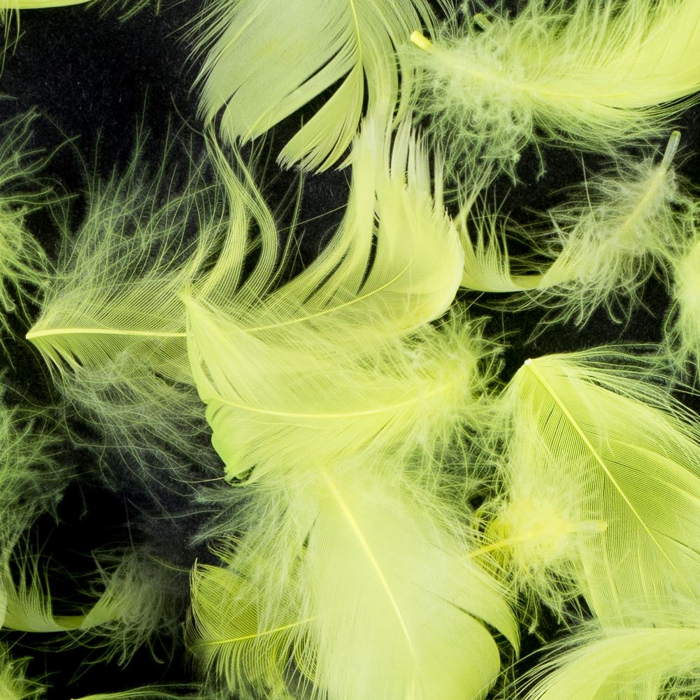 Yellow 5 Gram Bag of Feathers