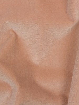 Rosewater Cotton Velvet Rosewater Cotton Velvet