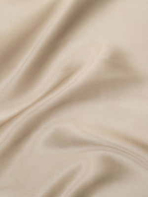 Satin-Faced Twill Organza – Luminous Champagne – Anise Collection Satin-Faced Twill Organza – Luminous Champagne – Anise Collection