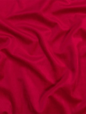 Cactus Flower Creamy Polyester Velvet Cactus Flower Creamy Polyester Velvet