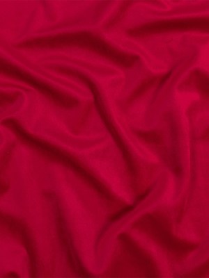 Cactus Flower Creamy Polyester Velvet Cactus Flower Creamy Polyester Velvet