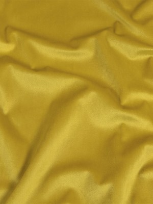 Golden Creamy Polyester Velvet Golden Creamy Polyester Velvet