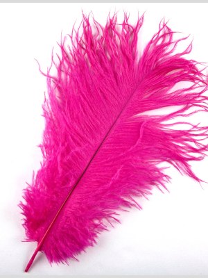 Hot Pink Ostrich Feather – 10″-12″ Hot Pink Ostrich Feather – 10″-12″