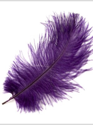 Purple Ostrich Feather – 10″-12″ Purple Ostrich Feather – 10″-12″