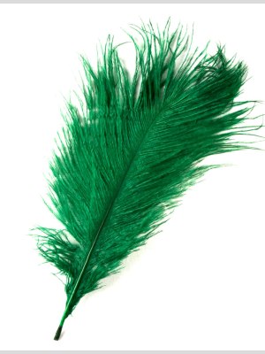 Emerald Ostrich Feather – 10″-12″ Emerald Ostrich Feather – 10″-12″