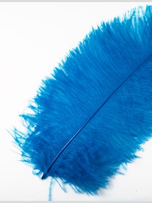8″-10″ Turquoise Ostrich Feather 8″-10″ Turquoise Ostrich Feather
