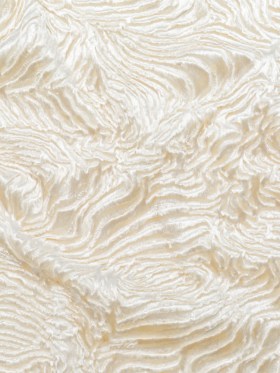 Woodgrain Faux Persian Lamb Fur – Sweet Corn Woodgrain Faux Persian Lamb Fur – Sweet Corn