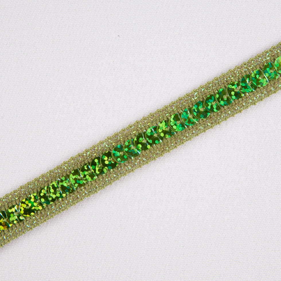 1/2″ Kiwi Fancy Sequin Trim 1/2″ Kiwi Fancy Sequin Trim