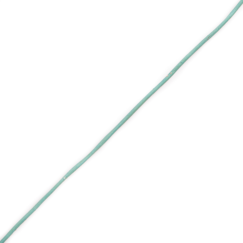 Turquoise Leather Cord Turquoise Leather Cord
