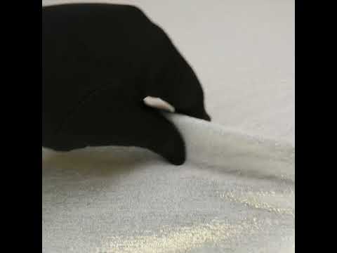 Metallic Foiled Uneven Stretch Rib Knit – Gold on Ivory – Estelle Collection Metallic Foiled Uneven Stretch Rib Knit – Gold on Ivory – Estelle Collection