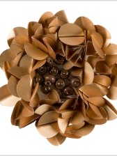 Matt Gold Fancy Applique Matt Gold Fancy Applique