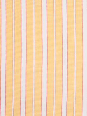 Impala Pink and White Striped Cotton Canvas Impala Pink and White Striped Cotton Canvas