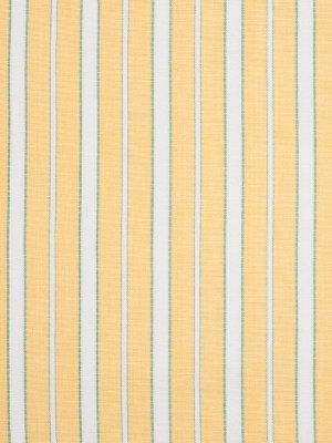 Impala Green and White Striped Cotton Canvas Impala Green and White Striped Cotton Canvas