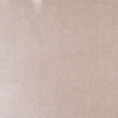 Buff Pebbled Vinyl Buff Pebbled Vinyl