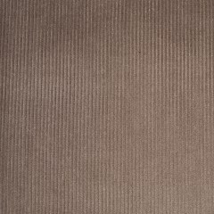 Gray Ribbed Velvet Gray Ribbed Velvet