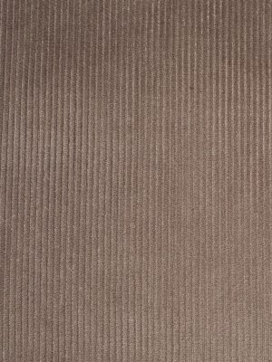 Gray Ribbed Velvet Gray Ribbed Velvet