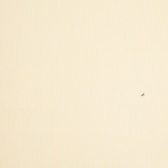 Italian Maize Yellow Striped Stretch Cotton Shirting Italian Maize Yellow Striped Stretch Cotton Shirting