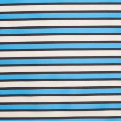 Poly-Cotton Organza/Organdy by Tanya Taylor – Blue Striped Poly-Cotton Organza/Organdy by Tanya Taylor – Blue Striped