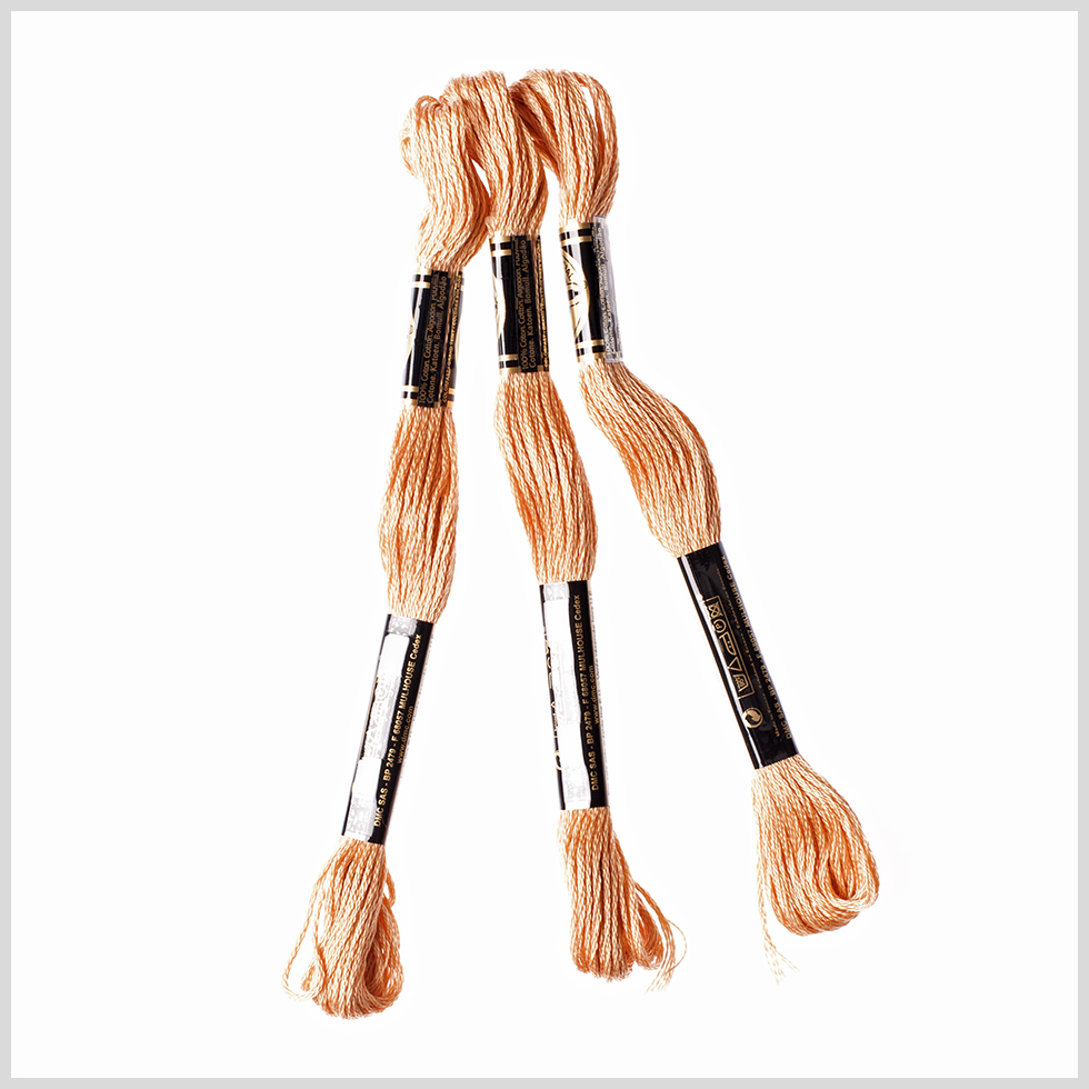 3-Pack DMC Size 6 Embroidery Floss #437 Light Tan 3-Pack DMC Size 6 Embroidery Floss #437 Light Tan