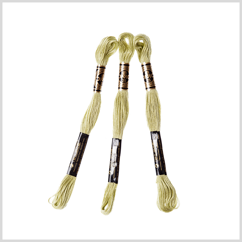 3-Pack DMC Size 6 Embroidery Floss #3348 Daiquiri Green 3-Pack DMC Size 6 Embroidery Floss #3348 Daiquiri Green