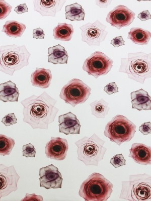 Pink X-Ray Roses Digitally Printed on Stretch Neoprene/Scuba Knit Pink X-Ray Roses Digitally Printed on Stretch Neoprene/Scuba Knit