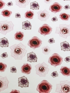 Pink X-Ray Roses Digitally Printed on Stretch Neoprene/Scuba Knit Pink X-Ray Roses Digitally Printed on Stretch Neoprene/Scuba Knit