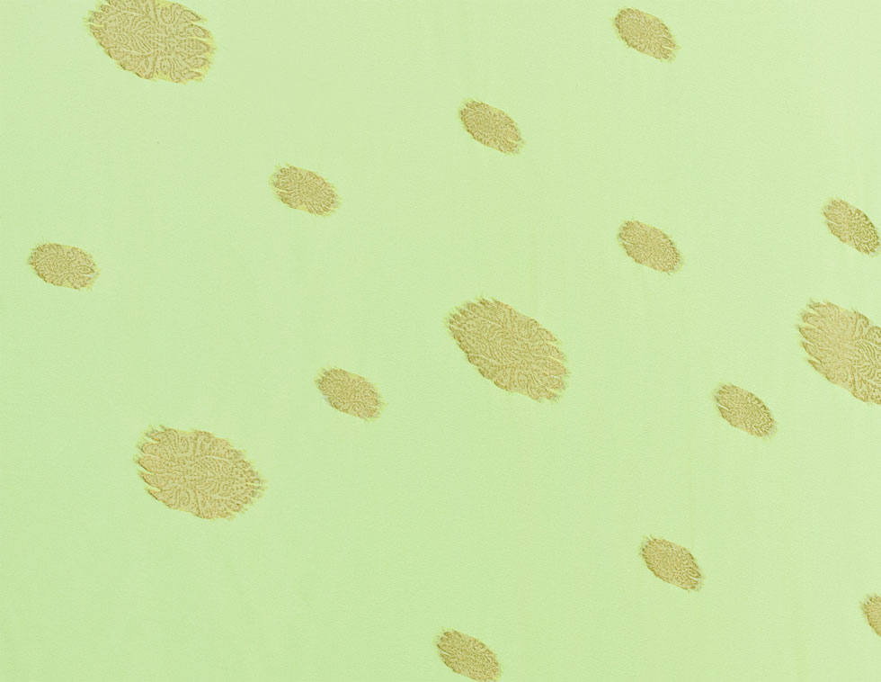 Ralph Lauren Sari Chiffon Ralph Lauren Sari Chiffon