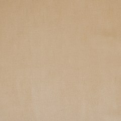 Pale Gold Home Decor Velvet Pale Gold Home Decor Velvet