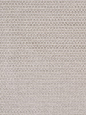 Pale Khaki Dotted Cut Velvet Pale Khaki Dotted Cut Velvet