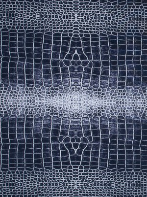 Navy Crocodile Caye UV Protective Compression Swimwear Tricot with Aloe Vera Microcapsules Navy Crocodile Caye UV Protective Compression Swimwear Tricot with Aloe Vera Microcapsules