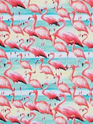 Flamingo Caye UV Protective Compression Swimwear Tricot with Aloe Vera Microcapsules Flamingo Caye UV Protective Compression Swimwear Tricot with Aloe Vera Microcapsules