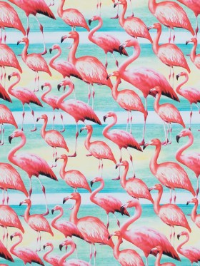 Flamingo Caye UV Protective Compression Swimwear Tricot with Aloe Vera Microcapsules Flamingo Caye UV Protective Compression Swimwear Tricot with Aloe Vera Microcapsules